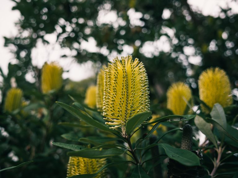 pexels-sonny-17385866 pexels-sonny-17385866